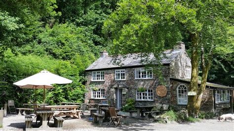 woods cafe bodmin|More.